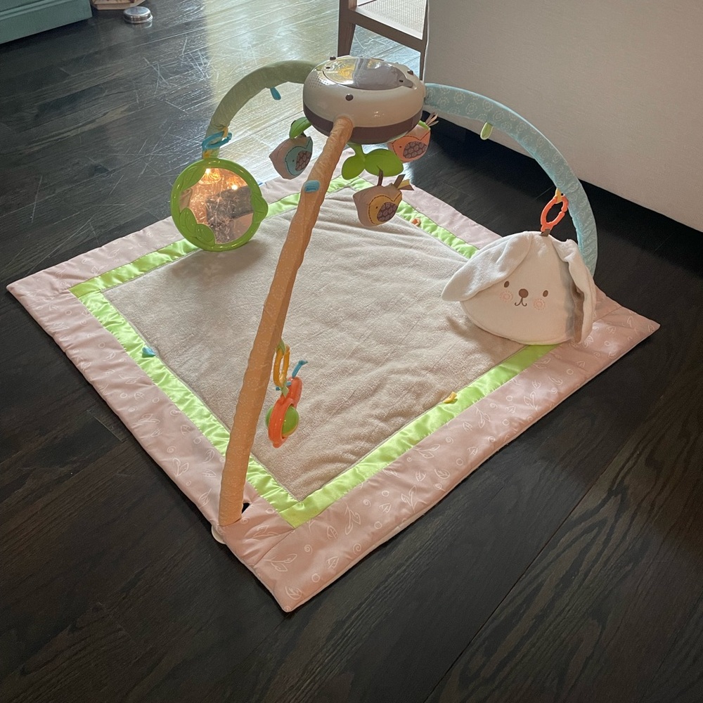 Fisher Price Baby Playmat